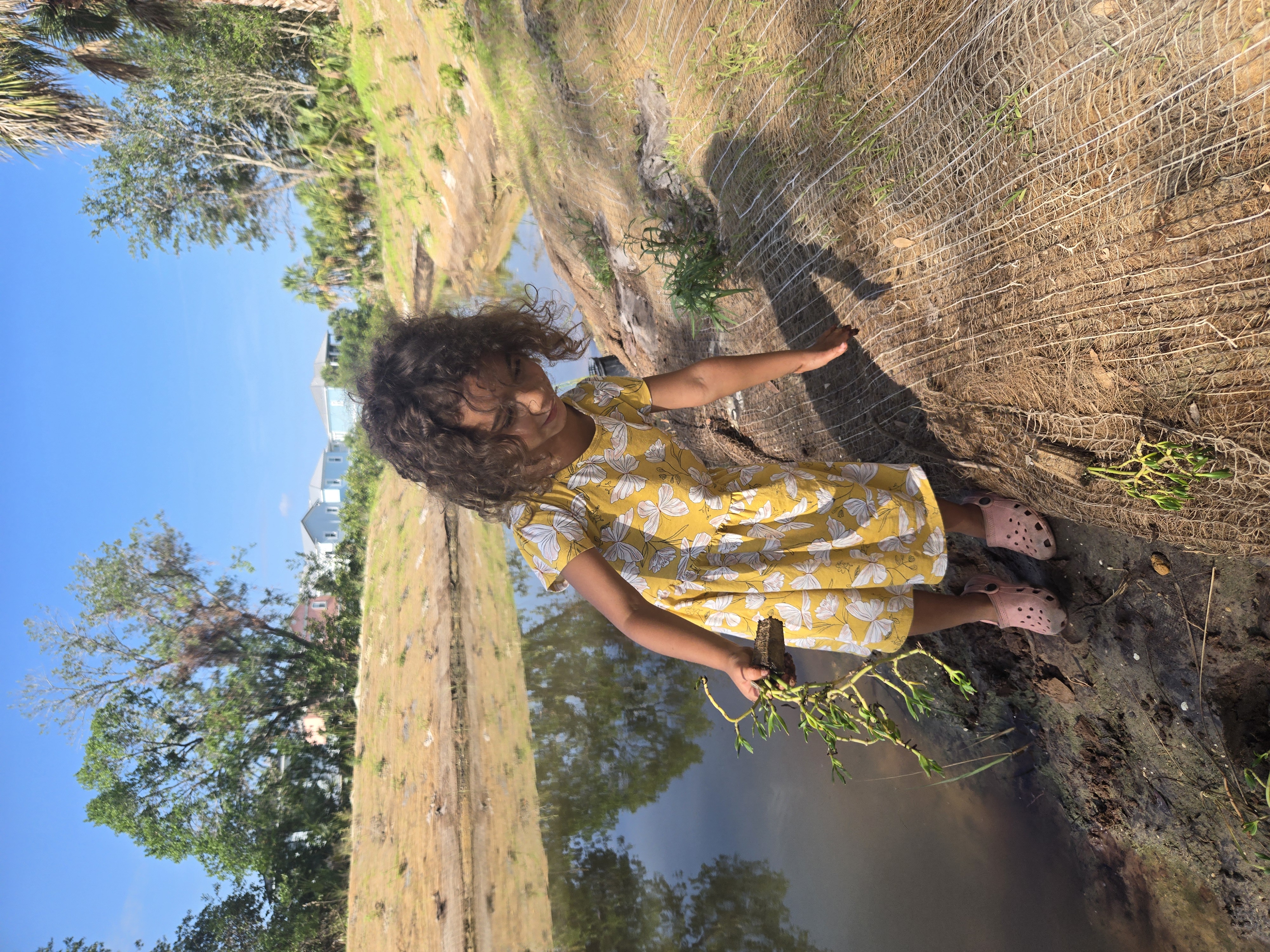 Living shoreline design and installation