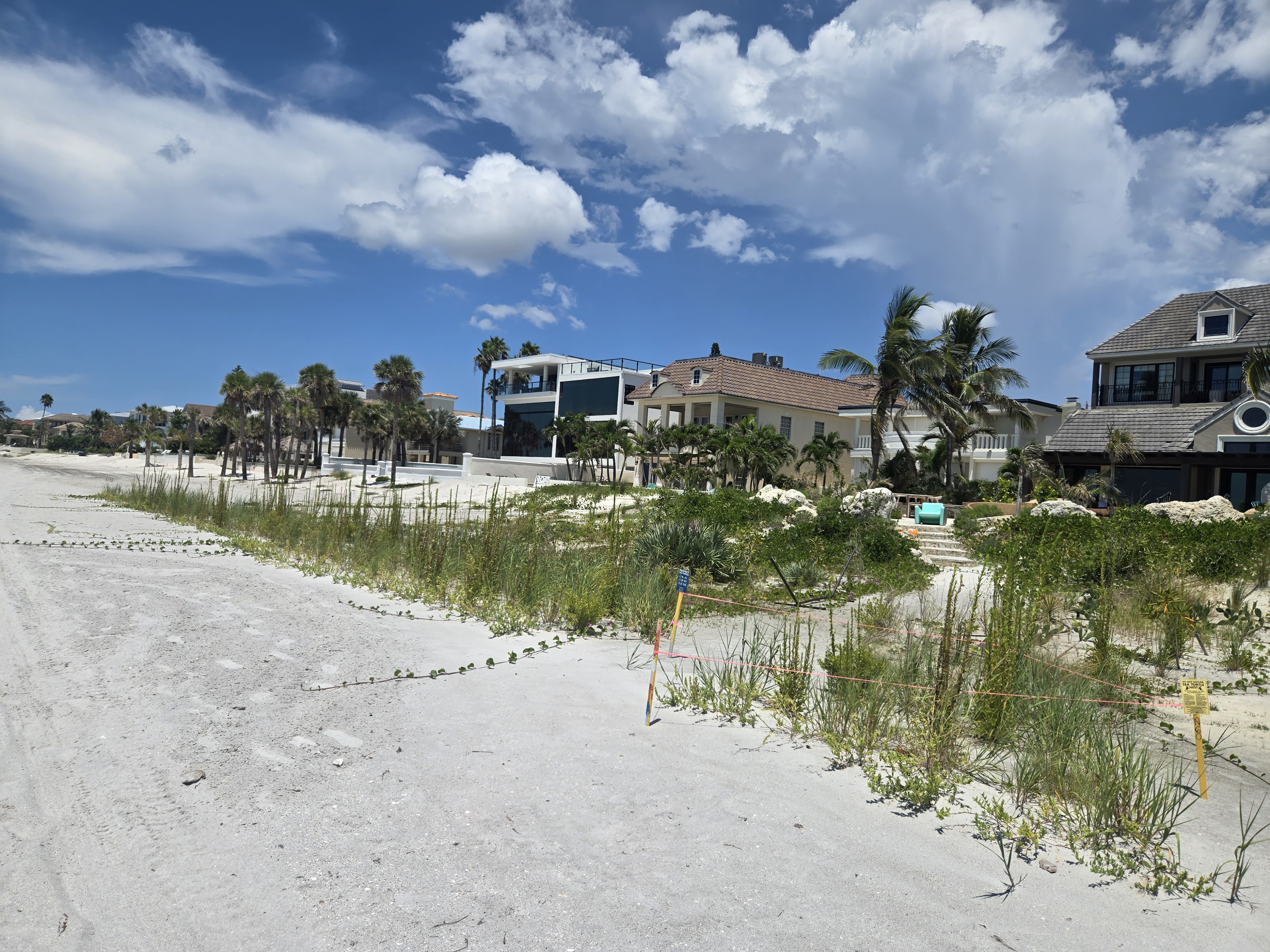 Dune system restoration