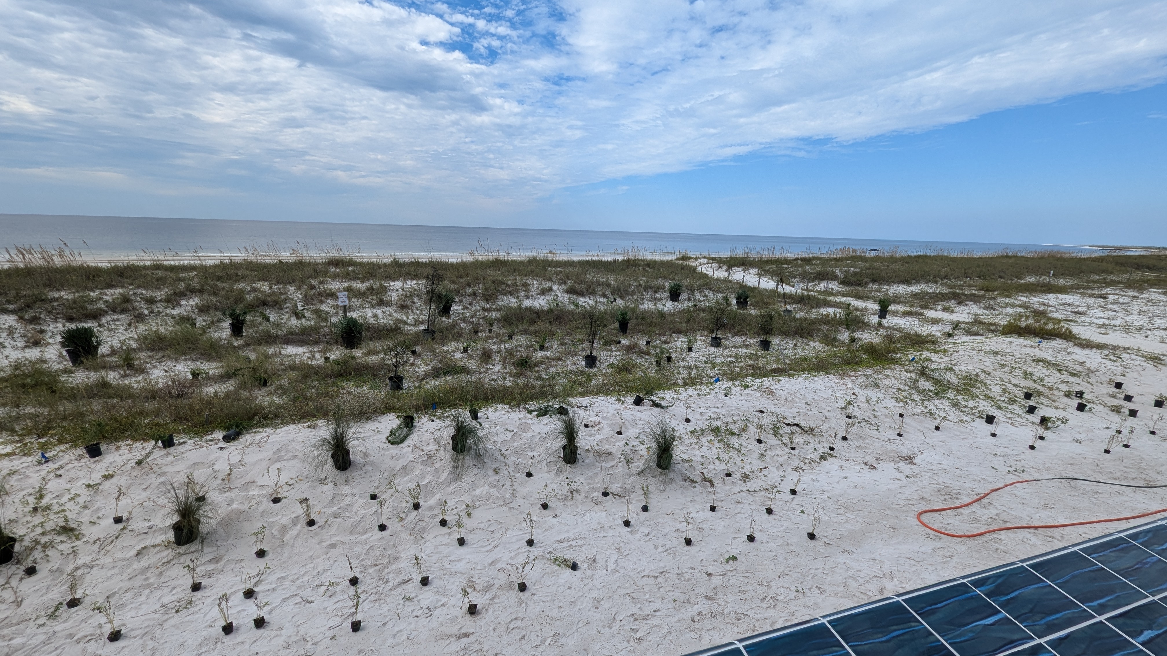 Coastal restoration project